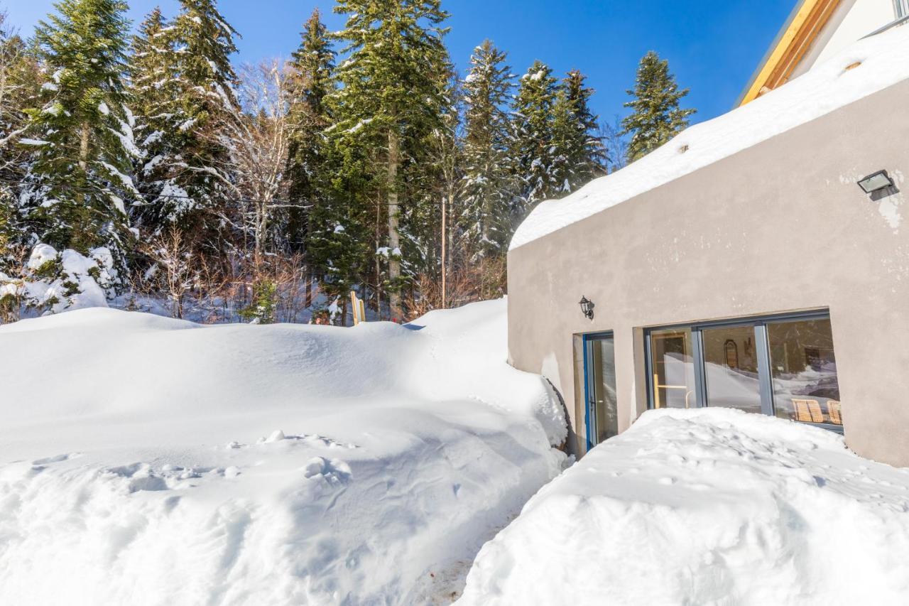 Studio La Resilience, Au Pied Des Pistes A Autrans Villa Buitenkant foto